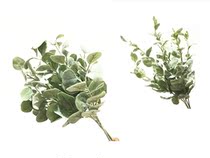 Simulated forest green plant single-branch flocking eucalyptus leaf project landscape decoration plant leaf Wood