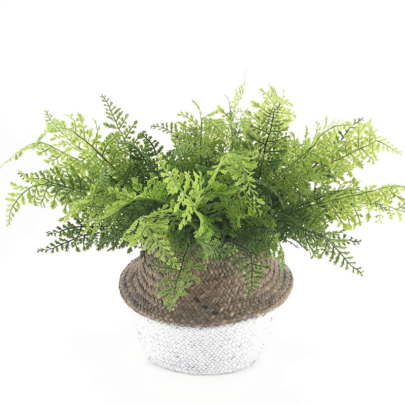 Simulated fern sheep tooth fern decorated green plant simple tropical fern iron line fern household wall view