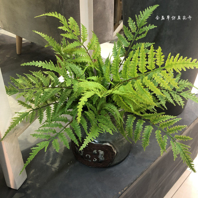 Simulation Tropical Plant Fern large wave grass to decorate the bunches indoor decoration Green Hotel Engineering Home Soft-fit Great Fern Grass