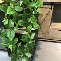 Simulation of green plant green rattan fake plant vines silk cloth two meters green vine pipe roof winding decorative hanging vine