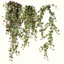 Simulation autumn color ivy wall-mounted wall climbing project landscape decoration wall hanging green plant hanging ivy