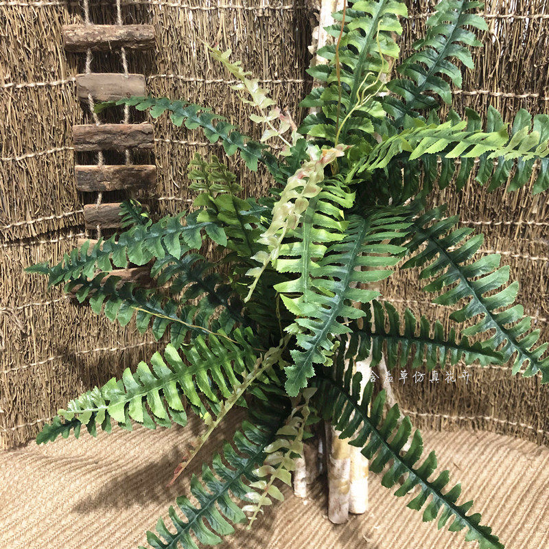 Simulated plant 12 leaves put bunch fishtail Persian grass fern false flower green plant wall decoration fern project landscape wave grass