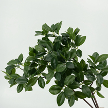 New simulation Banyan tree branches mini feel Leaf model room landscaping tree banyan tree leaf engineering hotel placement plants