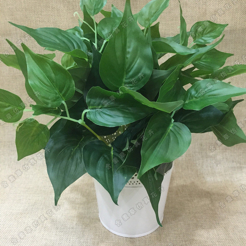 Simulation indoor green planting gold Ge Ye to decorate the plant wall decoration plant engineering dining room with large support wholesale