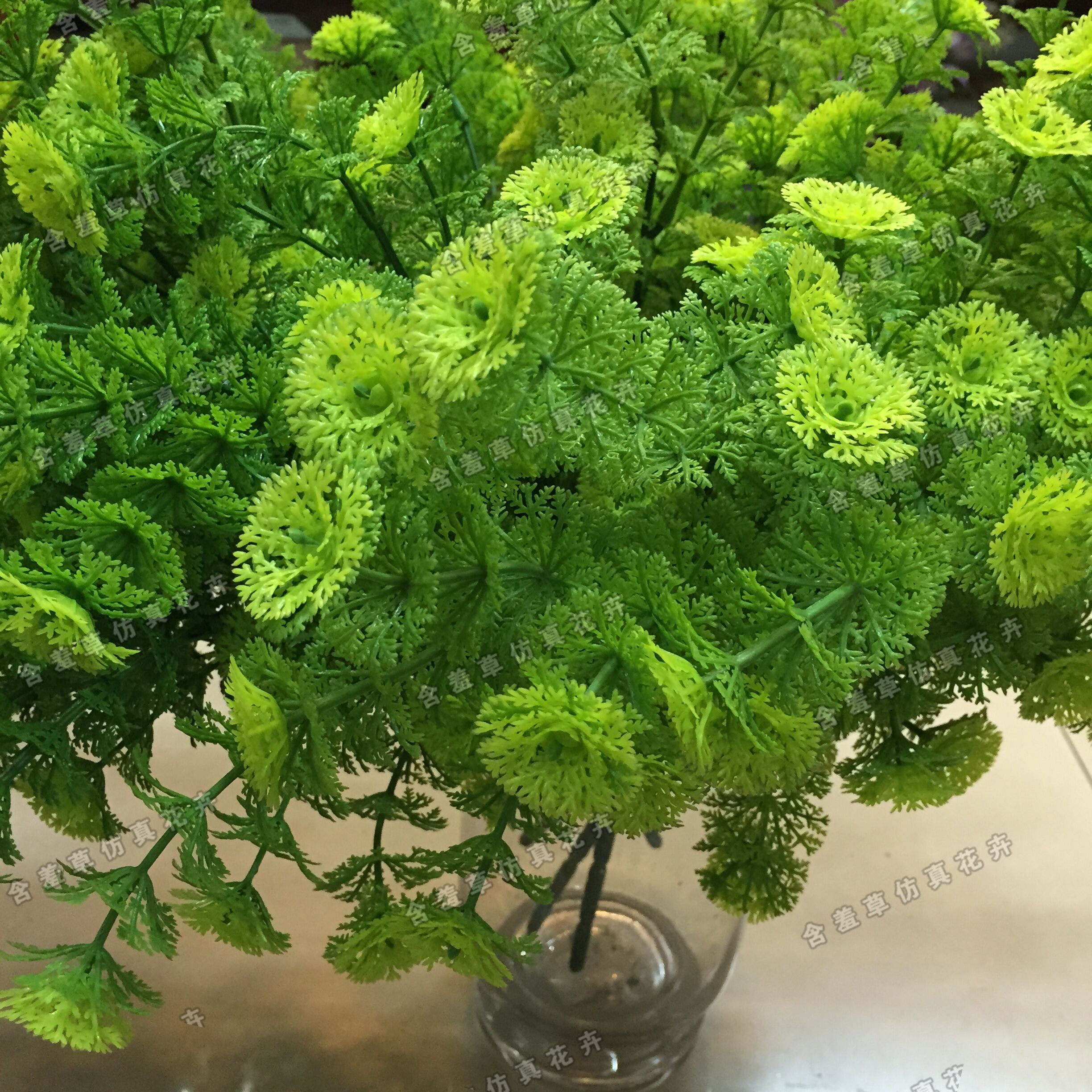 Simulation green copper coin plastic beam multi - fork green plant decorative plant wall materials mini solar plant