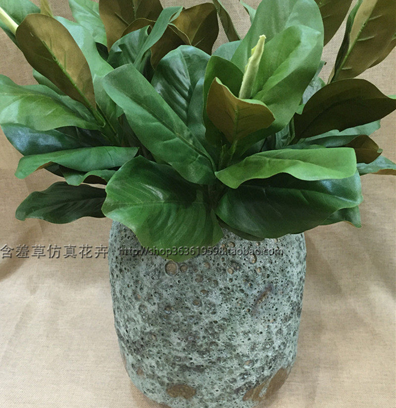 High-end simulation green plant kapok leaf dark green fake magnolia leaf single branch silk flower accessories plant wall decoration