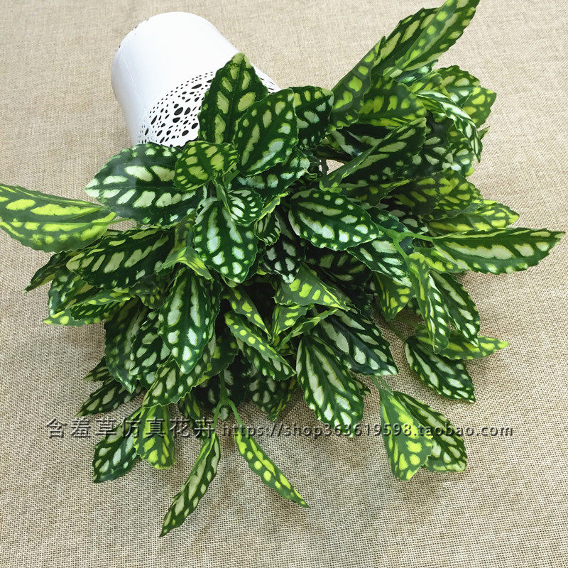 Simulation Plant Cold Water Flower Film Leaf Background Wall Flower Arrangement Green Planting Leafy material dining room Soft-fit engineering Landscaped floral art