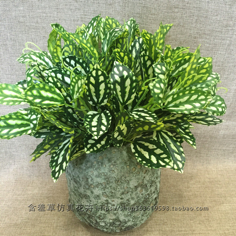 Simulation Room Exterior Decoration Green Planting Feel Cold Water Flowers Leafy Dining Hall Vegetal Wall Decorative Foliage To Support Wholesale