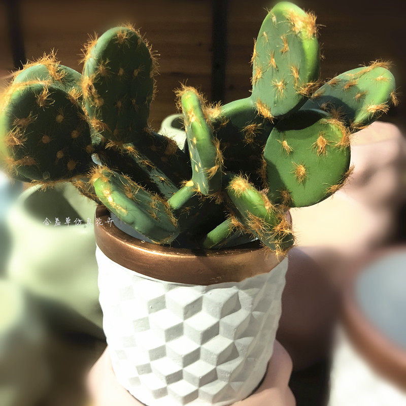 Emulated multimeat plants ins wind Nordic decoration fake flowers indoor green plant Furnishing Cactus Pendulum home decoration