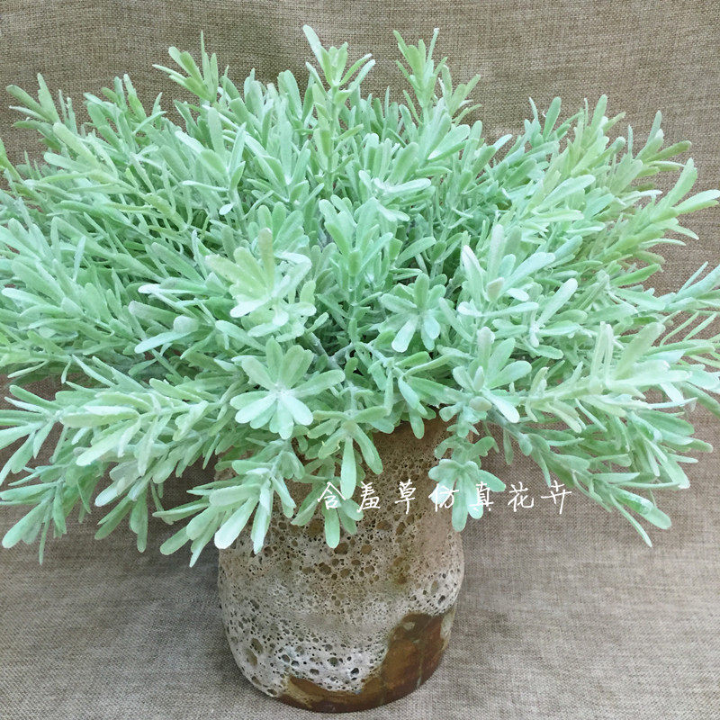 Simulation DIY mini-small plant holding flower matching material decoration flocking single branch small Santa Marma one thousand Leaf grass fishy grass green plant