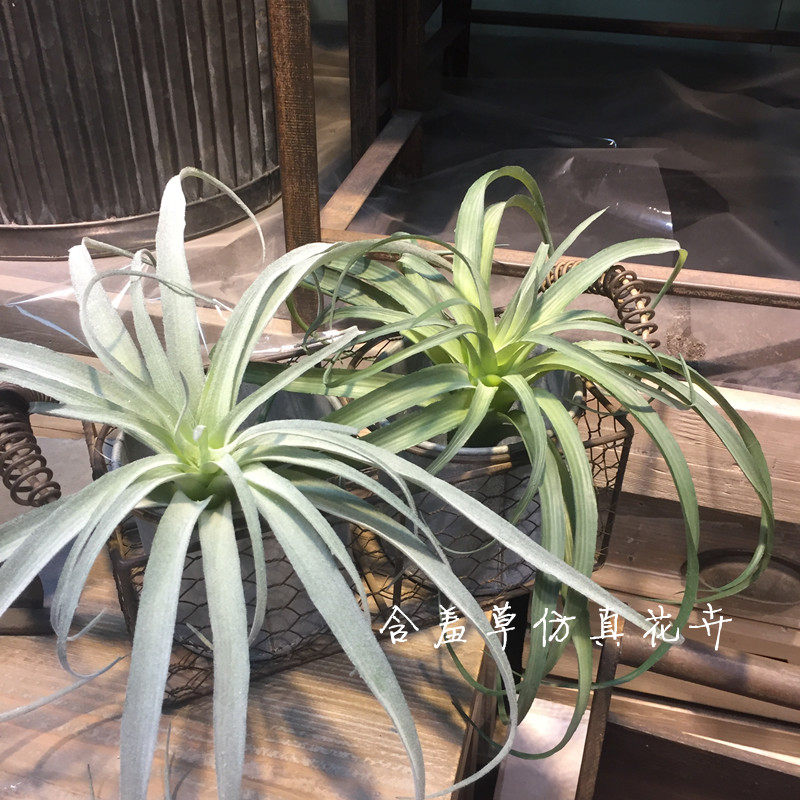 Emulated air pineapple multi-meat plant handzal holding flower matching material small green planting pendulum piece wall-hanging plant wall decoration flower