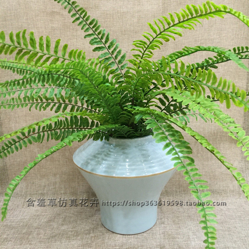 Simulation Green Plant Tropical Ferns Persian Grass Platoon Grass Plant Wall Decoration Accessories Upscale Fern Leaf Long Leaf Fish Tail Fern