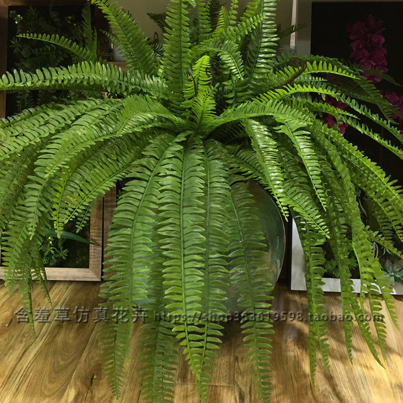 Simulated ferns Persian grass Fern grass Drainage Plant wall accessories Yamago Flower arrangement decoration Mountain grass
