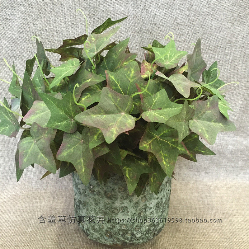 Emulated autumn-coloured ground melon leaves small bundle upscale regular spring vines sweet potato leaf turquoise plant wall home matching material