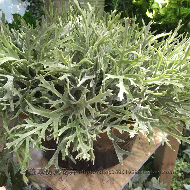 Simulation Tropical Plant Deer Antlers Grass Decoration Flocking Green Planting Soft Dress Engineering Construction Landscape Placement Floral Flower Arrangement Grass