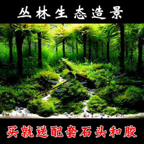Fish tank decoration Aquarium Fish tank Jungle landscaping package Micro-landscape Rainforest combination sunken wood aquatic plants quickly become a scene