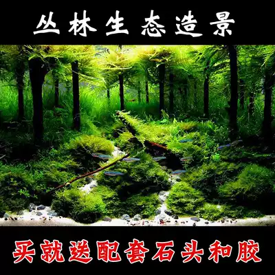 Fish tank decoration aquarium aquarium fish tank jungle landscaping package micro landscape rainforest combination sunken wood water grass quick landscape