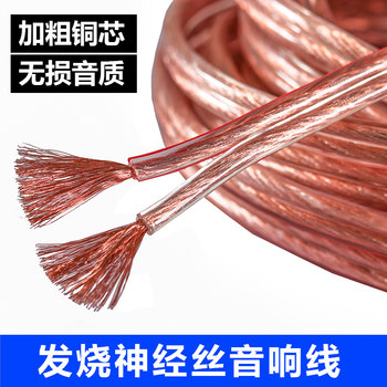 Audio Cable Professional Audiophile Oxygen-Free Copper Audio Cable Connection Cable Universal Pure Copper Speaker Cable Audio Cable Speaker Cable