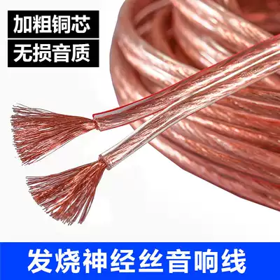 Audio cable professional fever oxygen-free copper audio cable connection line universal pure copper horn cable audio cable sound box Cable