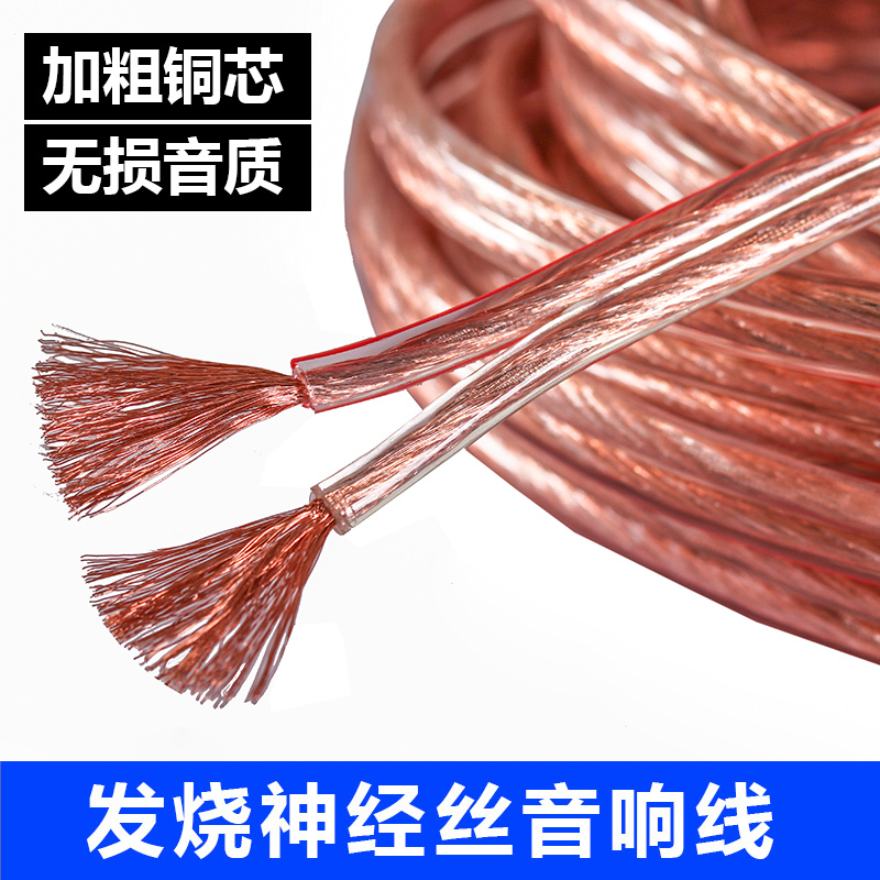 Audio Cable Professional Audiophile Oxygen-Free Copper Audio Cable Connection Cable Universal Pure Copper Speaker Cable Audio Cable Speaker Cable