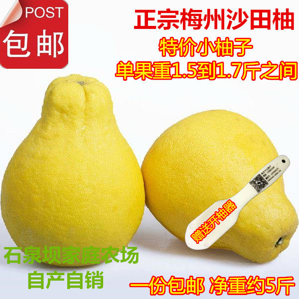  3 Little Grapefruit Mei State Golden Grapefruit State Sha Tin Grapefruit in Grapefruit Mei County Sha Tin Grapefruit