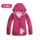 Peach Rose Women's FG02