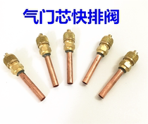 Multi-purpose valve valve Valve Valve Pin Valve Air-charged Dual-use Valve Quick Valve