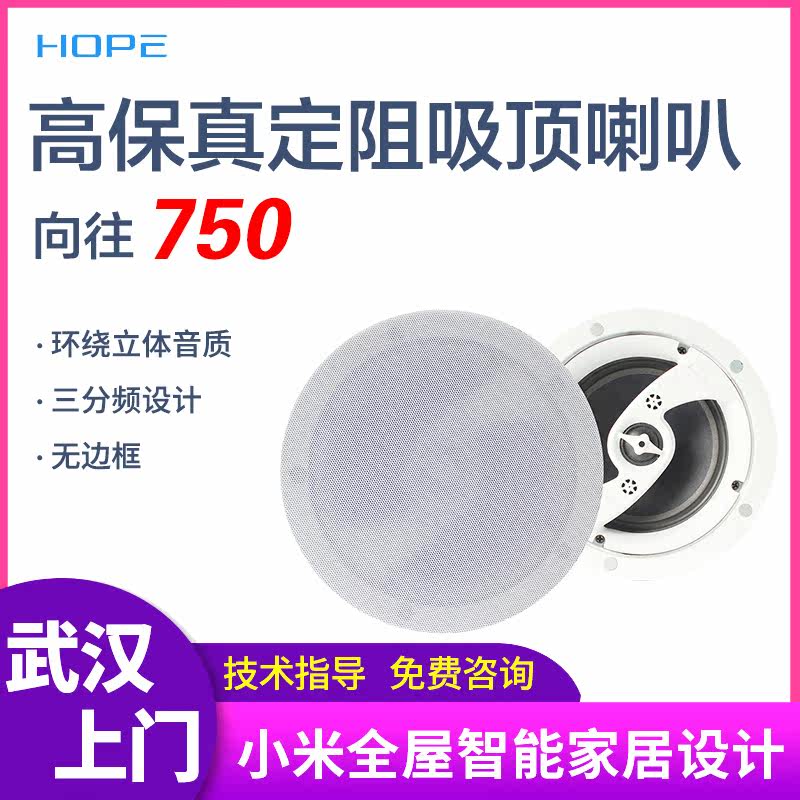 HOPE 750 home coaxial fixed resistance ceiling speaker background music audio ceiling speaker
