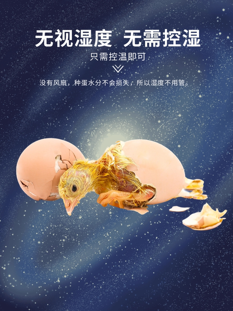 Water bed incubator intelligent egg incubator small household incubator incubator incubator box rudin chicken parrot duck goose quail bird