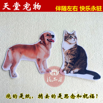 Burning the head of the seven-three-seventh anniversary of the anniversary of the death of the paper-burning sacrificial supplies (paper cats and dogs) the deceased pet photo paper