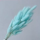 Tiffany Blue Bunch (около 60 филиалов)