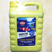 Fish farming methyl blue fish pond ornamental fish koi fish tank prevention of fish disease disinfection white spot burning tail disease treatment