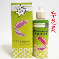 American Yanglongling Red Dragon Golden Dragon Silver Dragon Disease Treatment Agent Burns White Eyes Rotten Fin Prevention of Dragon Fish Disease