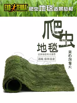 HAGEN Xijin horned frog tree frog moss carpet rainforest moisturizing cushion Chameleon lizard reptile tank landscaping