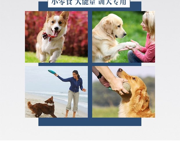 Huang Heng Sai-pet pet dog snack mực ống sushi 100 g Teddy VIP hơn gấu snack sushi 5 nhân dân tệ thức an cho chó bao 10kg