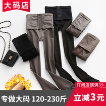 Big code plus velvety brother-in-law Lions of socks with stockings Bottom Pants Socks High Waist Thickening of autumn and winter dignitaries Lean Matt