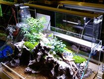 Lyilid WRGBAPP controls LED fish tank lamp lamp water cylinder lamp special lamp customized lamp