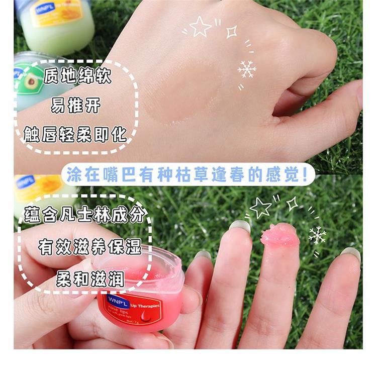 Vaseline Sleeping Lip Mask/lip balm WiserChoices