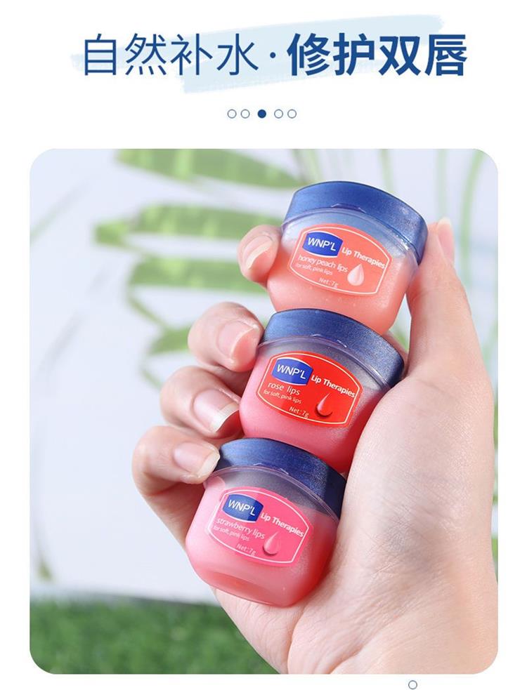 Vaseline Sleeping Lip Mask/lip balm WiserChoices