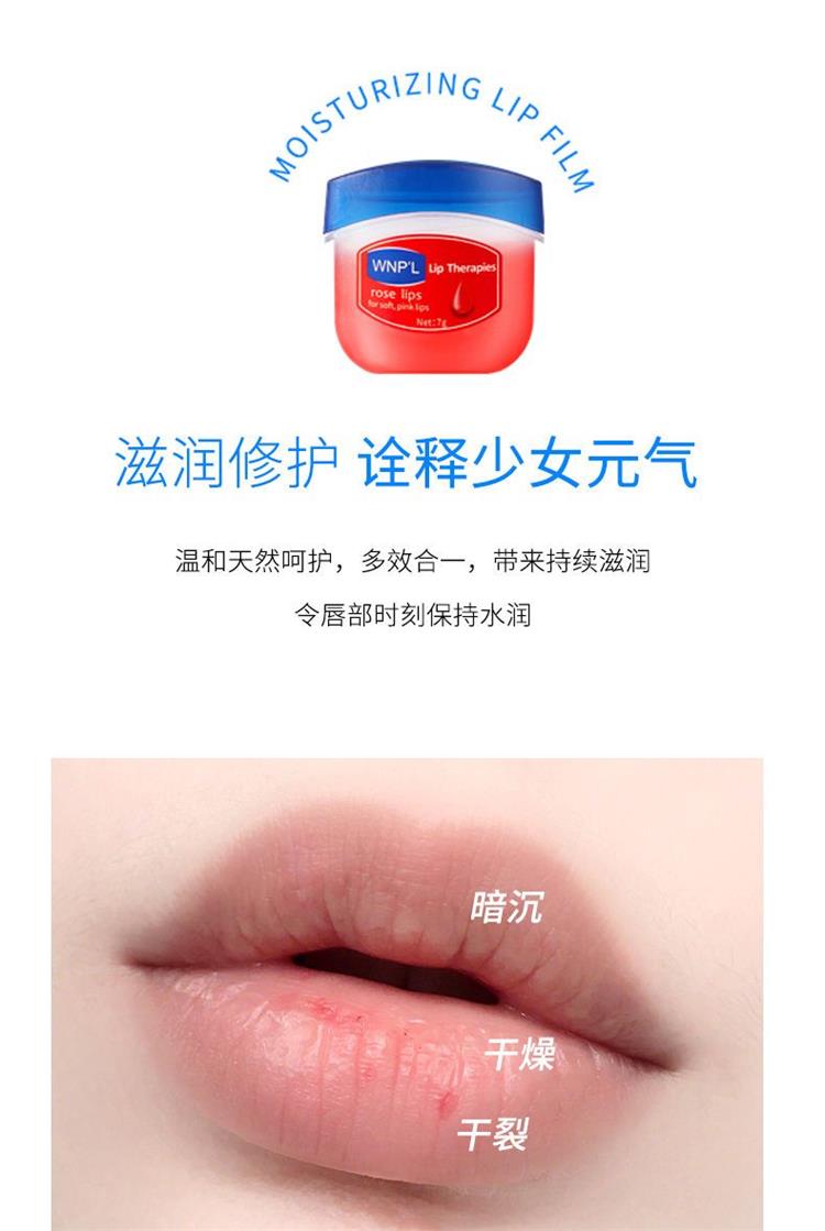 Vaseline Sleeping Lip Mask/lip balm WiserChoices