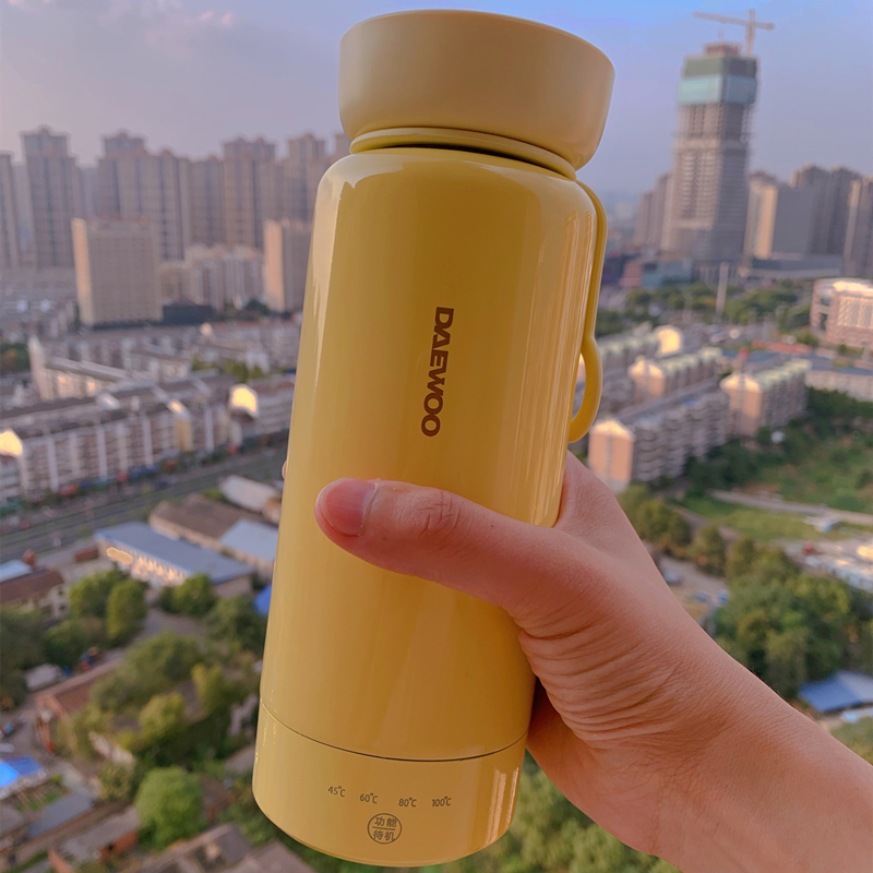 South Korea's Daewoo Electric Electric Water Cup Portable Kettle Small Travel Burning Water Cup Insulation Integrated Heating Health Cup