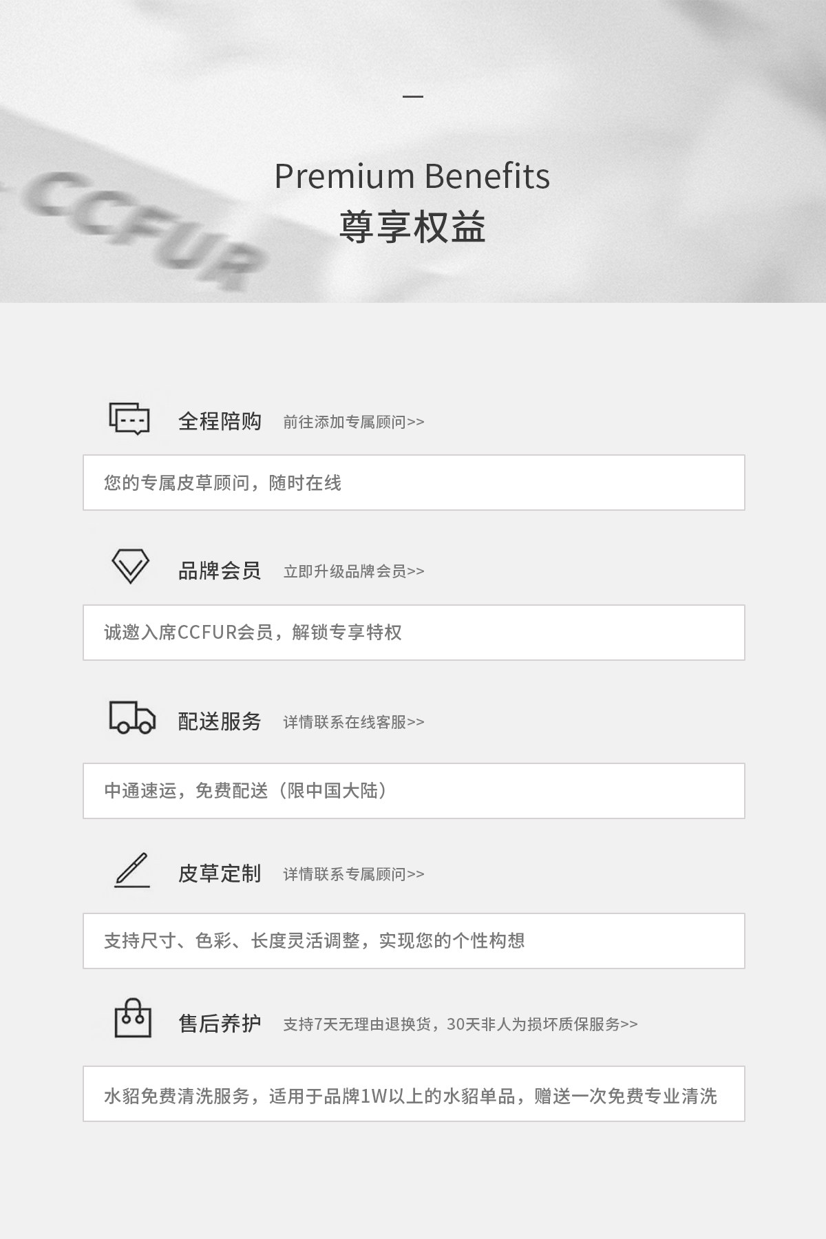 自定义 20260228