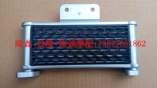 Lung Xin Jinlong GP 250 oil cooler LX JL250GS - 2 engine oil cooler