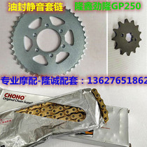 Lung Xin Jinlong GP250 new electric spray car JL LX250GS-2 modified oil seal size tooth chain chain