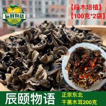Chenyi story Northeast dried black fungus Duan wood cultivation specialty thick meat without root free pick 200g recruit agent