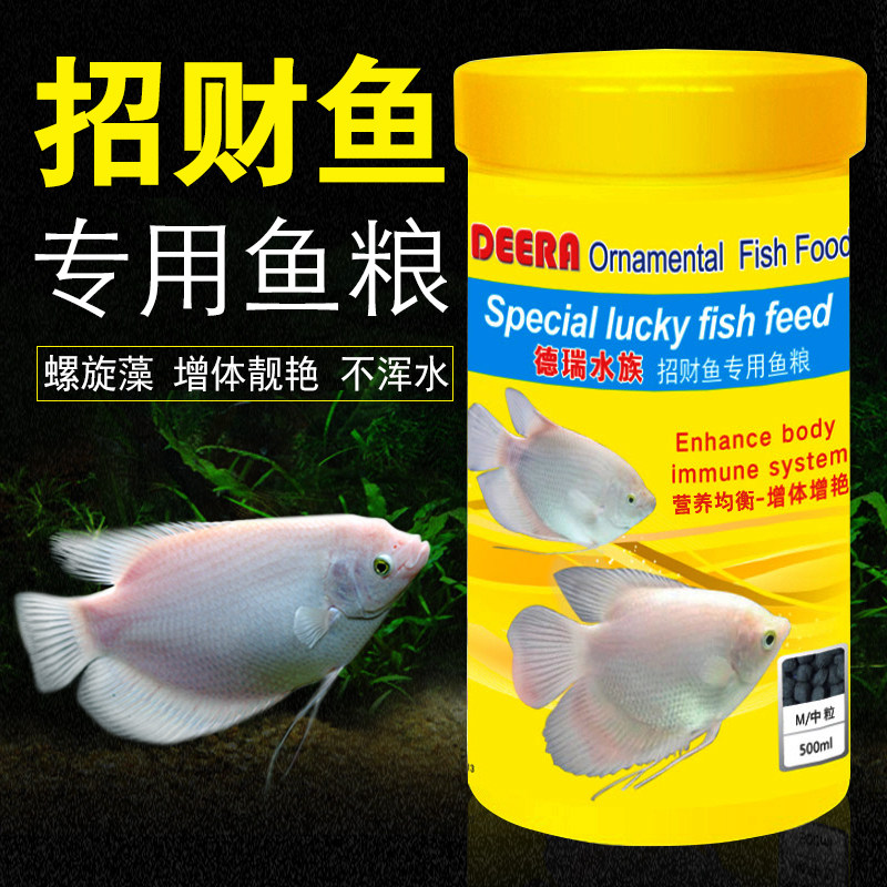Lucky fish feed Special fish food for lucky fish