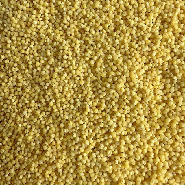 Shellless millet millet munnia pearl bird budgie bird food bird food feed egg millet raw material