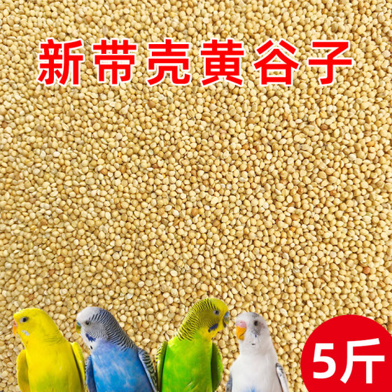 New yellow millet with shell millet tiger skin peony Xuanfeng small and medium-sized parrot munia bird food bird food bird feed 5Jin [Jin is equal to 0.5 kg]