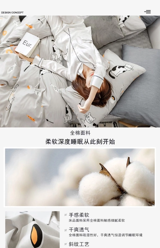 Jane Eyre cotton bốn mảnh cotton lưới bốn mảnh màu đỏ rung cùng một đoạn nhỏ chăn tươi ký túc xá sinh viên - Bộ đồ giường bốn mảnh