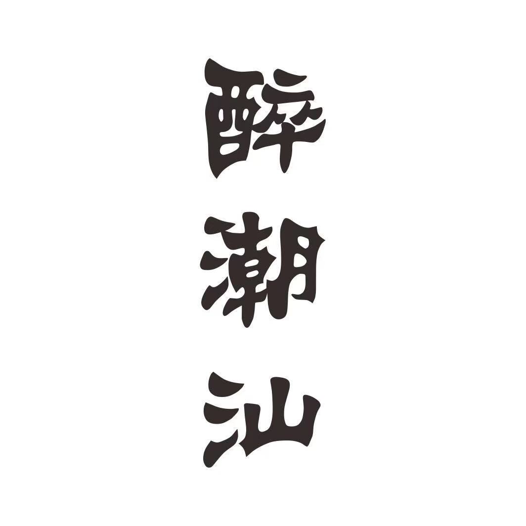 潮汕功夫茶具十六年老店